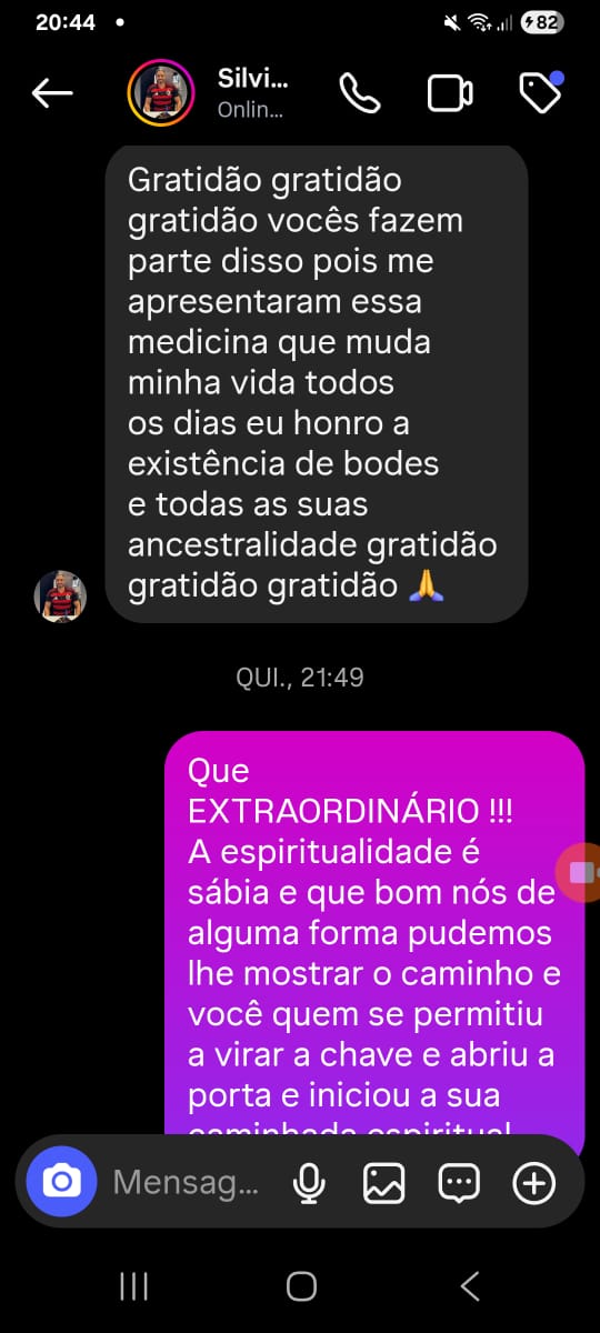Depoimento de Silvia via WhatsApp parte 1